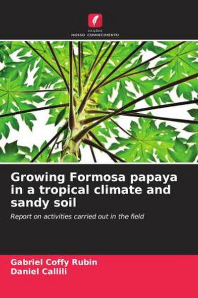 Growing Formosa papaya in a tropical climate and sandy soil