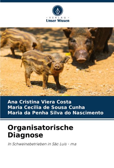 Organisatorische Diagnose