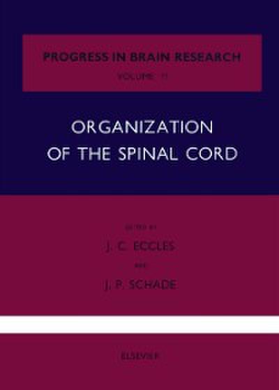 Organization of the Spinal Cord