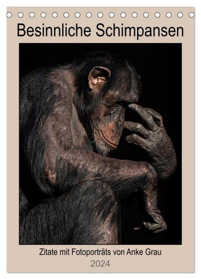 Besinnliche Schimpansen (Tischkalender 2024 DIN A5 hoch), CALVENDO Monatskalender