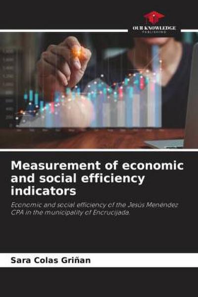 Measurement of economic and social efficiency indicators