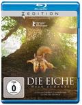 Die Eiche - Mein Zuhause (Blu-ray)