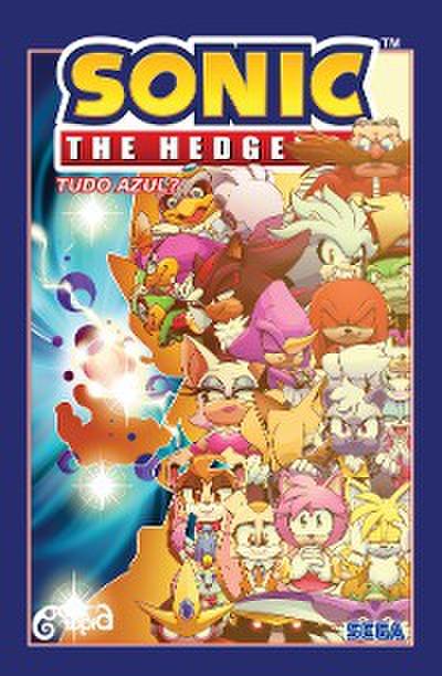 Sonic The Hedgehog – Volume 8: Tudo azul?