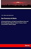 San Francisco in Ruins