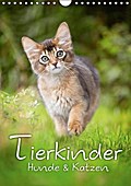 Tierkinder Hunde und Katzen (Wandkalender 2016 DIN