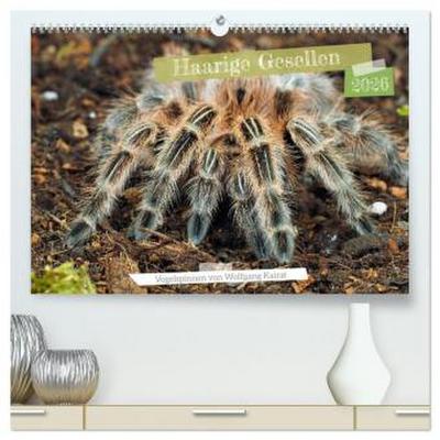 Haarige Gesellen (hochwertiger Premium Wandkalender 2026 DIN A2 quer), Kunstdruck in Hochglanz