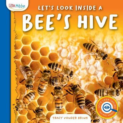 Let’s Look Inside a Bee’s Hive