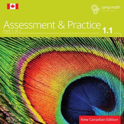 Jump Math AP Book 1.1