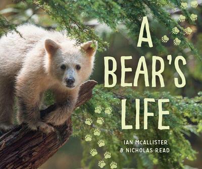 A Bear’s Life