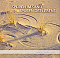 Spuren im Sand ...Spuren des Lebens