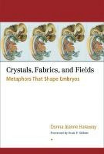Crystals, Fabrics, and Fields