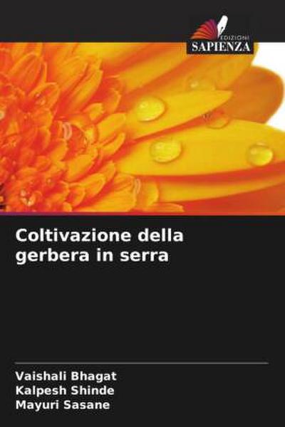 Coltivazione della gerbera in serra