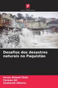 Desafios dos desastres naturais no Paquistão