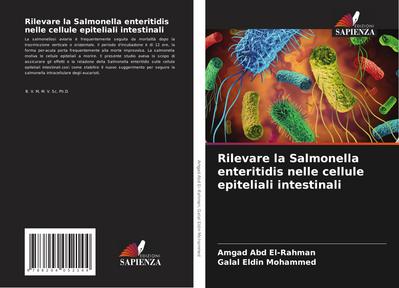 Rilevare la Salmonella enteritidis nelle cellule epiteliali intestinali
