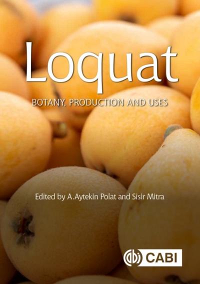 Loquat