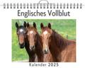Englisches Vollblut