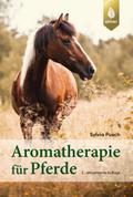 Aromatherapie für Pferde
