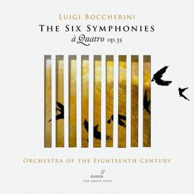 Sinfonien op. 35 (Fassung für Streicher), 2 Audio-CD