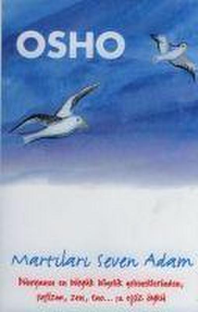 Martilari Seven Adam