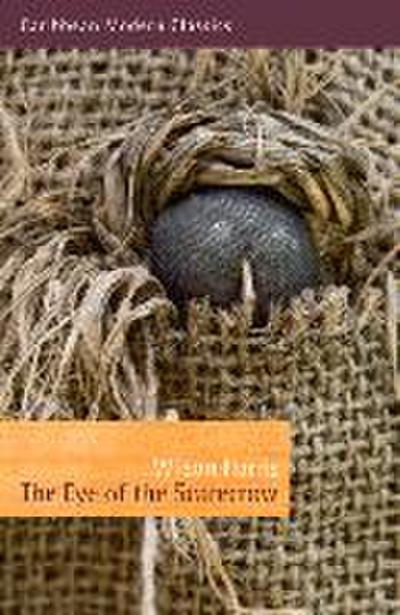 The Eye of the Scarecrow