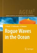 Rogue Waves