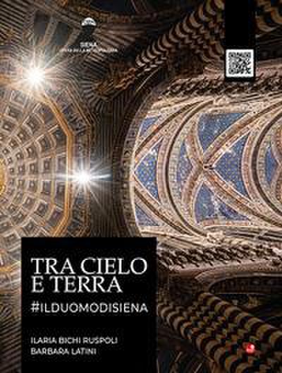 Tra cielo e terra. #ilduomodisiena