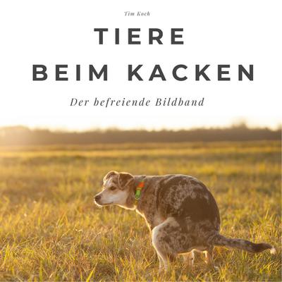 Tiere beim Kacken