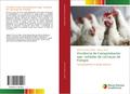 Virulência de Campylobacter spp. isoladas de carca