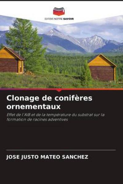 Clonage de conifères ornementaux