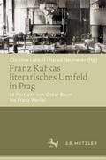 Franz Kafkas literarisches Umfeld in Prag
