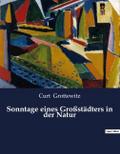Sonntage eines Großstädters in der Natur