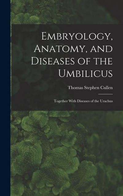 Embryology, Anatomy, and Diseases of the Umbilicus