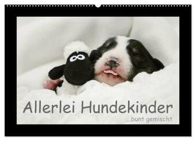 Allerlei Hundekinder (Wandkalender 2026 DIN A2 quer), CALVENDO Monatskalender