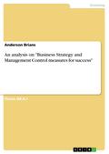 An analysis on Business Strategy and Management Control measures for success - Anderson Brians