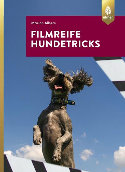 Filmreife Hundetricks