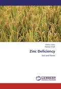 Zinc Deficiency