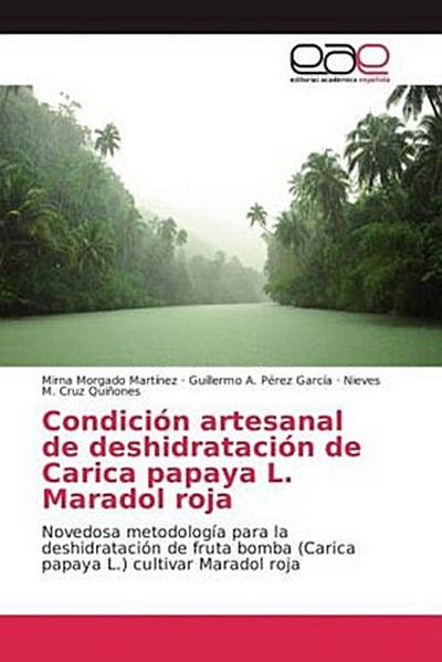 Condición artesanal de deshidratación de Carica papaya L. Maradol roja