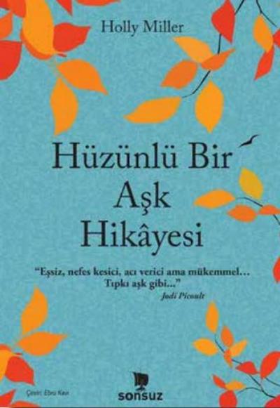Hüzünlü Bir Ask Hikayesi