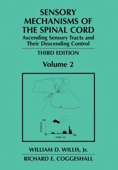 Sensory Mechanisms of the Spinal Cord