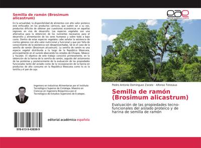 Semilla de ramón (Brosimum alicastrum)