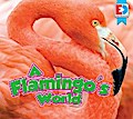 A Flamingo’s World