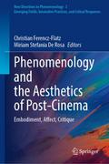 Phenomenology and the Aesthetics of Post-Cinema