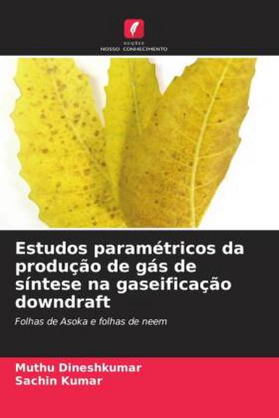 Estudos paramétricos da produção de gás de síntese na gaseificação downdraft