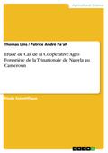 Etude de Cas de la Cooperative Agro Forestière de la Trinationale de Ngoyla au Cameroun