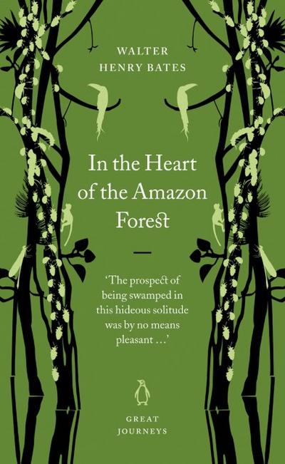 In the Heart of the Amazon Forest