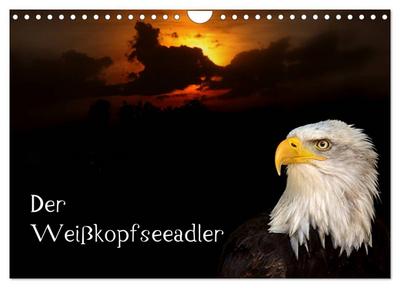 Der Weißkopfseeadler (Wandkalender 2024 DIN A4 quer), CALVENDO Monatskalender