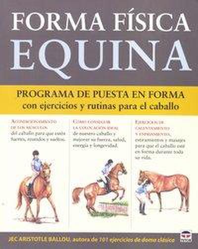 Forma física equina