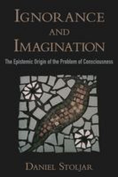 Ignorance and Imagination