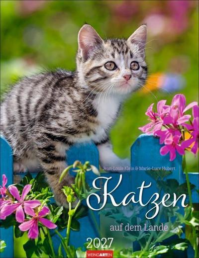 Katzen auf dem Lande Kalender 2027