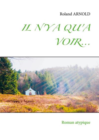 IL N’Y A QU’A VOIR...